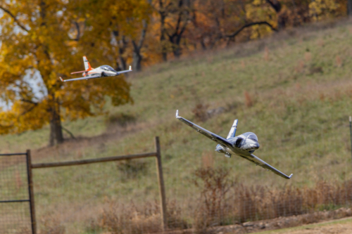 IMG 0013-Enhanced-SR