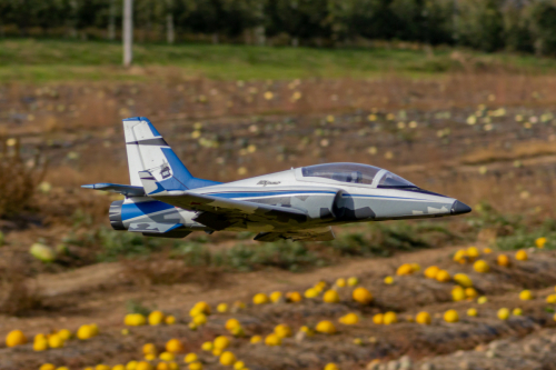 IMG 0087-Enhanced-SR