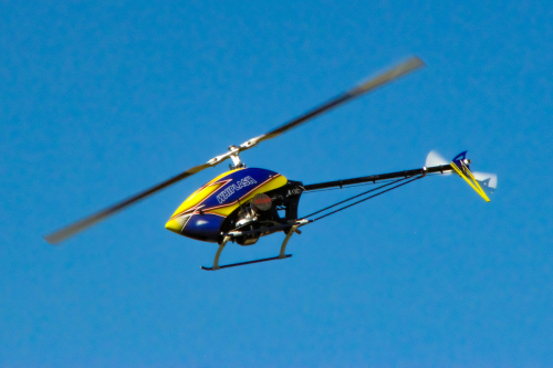 IMG 0124-Enhanced-SR