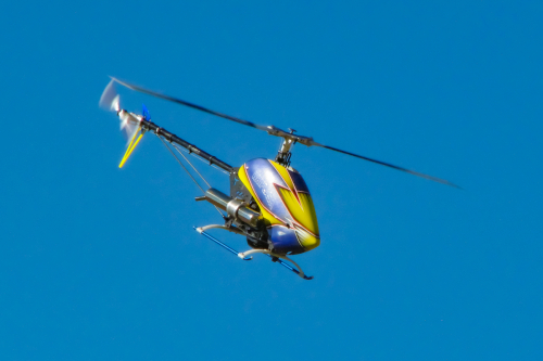 IMG 0126-Enhanced-SR