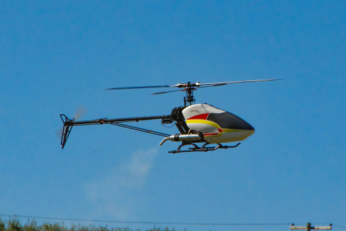 IMG 0199-Enhanced-SR