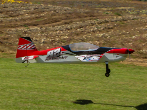 IMG 0218-Enhanced-SR