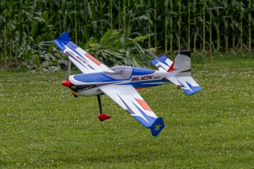 IMG 0295