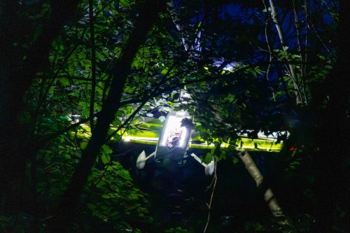 IMG 0346