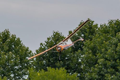IMG 0347 (1)
