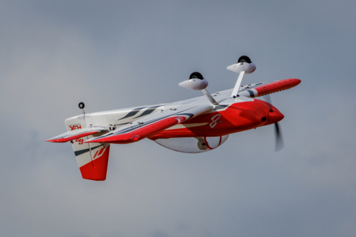 IMG 0361-Enhanced-SR