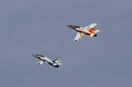 IMG 0477-Enhanced-SR