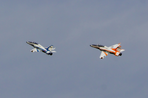 IMG 0478-Enhanced-SR