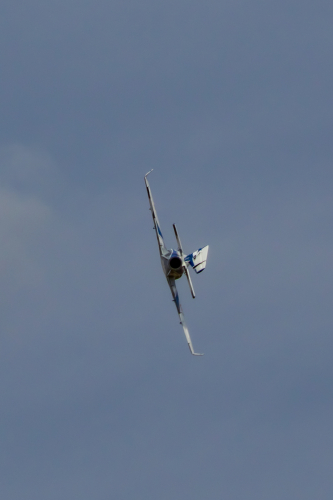 IMG 0520-Enhanced-SR