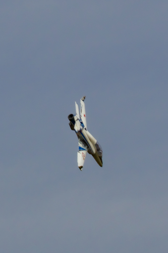 IMG 0522-Enhanced-SR