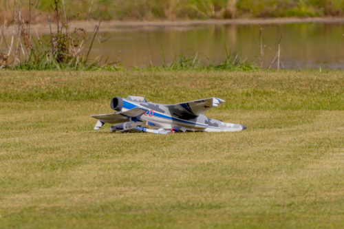 IMG 0553-Enhanced-SR