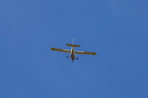 IMG 0603-Enhanced-SR