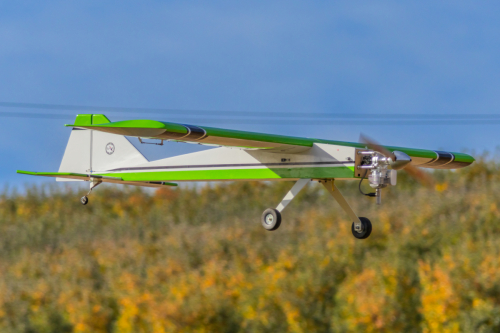 IMG 0611-Enhanced-SR