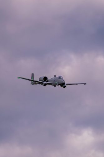 IMG 0664