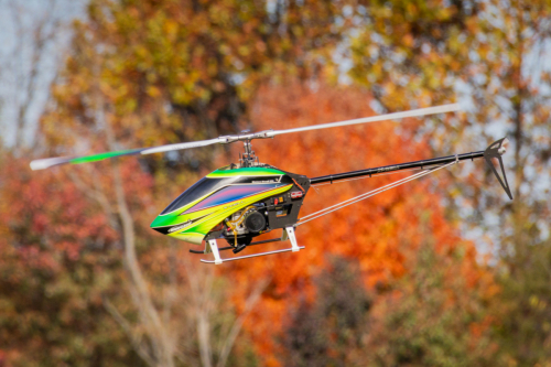 IMG 0710-Enhanced-SR