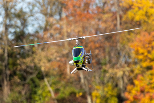 IMG 0733-Enhanced-NR