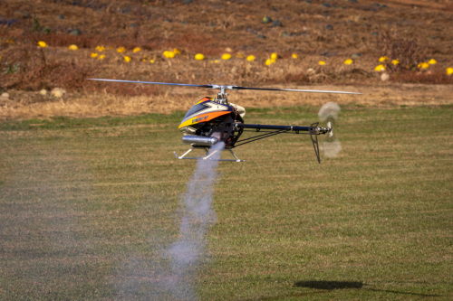 IMG 0864-Enhanced-SR