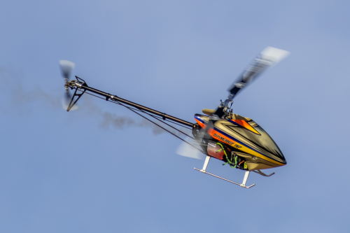 IMG 0928-Enhanced-NR