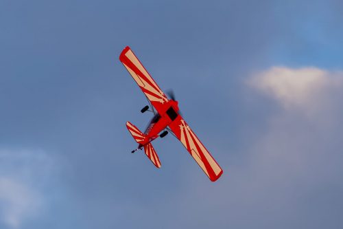 IMG 0955