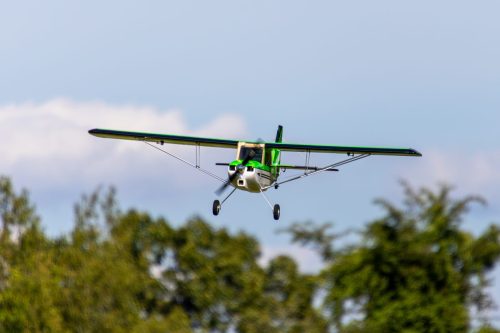 IMG 0966