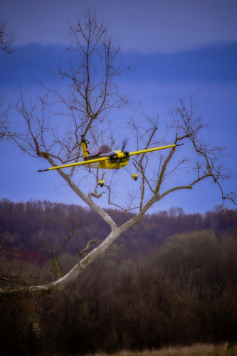 IMG 0969-Enhanced-NR