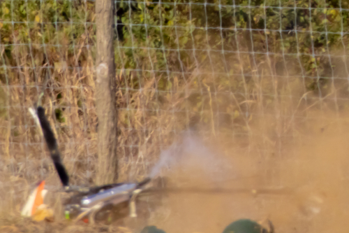 IMG 1001-Enhanced-SR