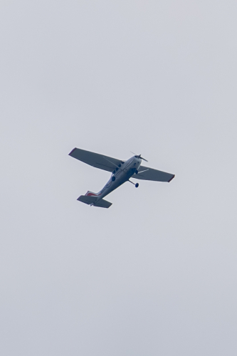 IMG 1082-Enhanced-NR