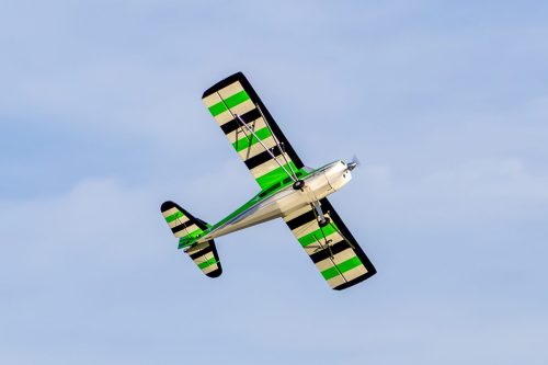 IMG 1248