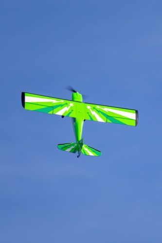 IMG 1255 (1)