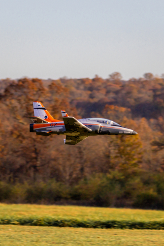 IMG 1303-Enhanced-SR