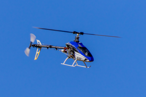 IMG 1718-Enhanced-SR