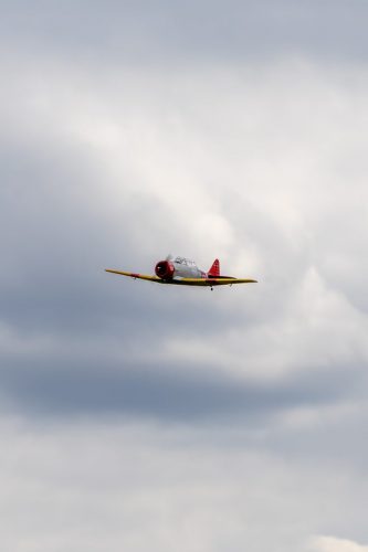 IMG 1915
