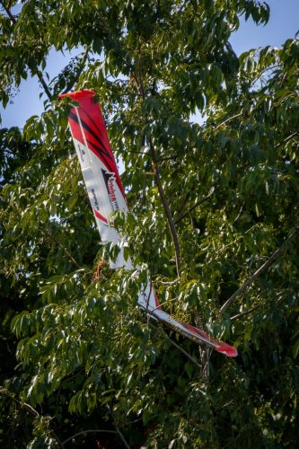 IMG 2042 (1)