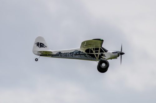 IMG 2158