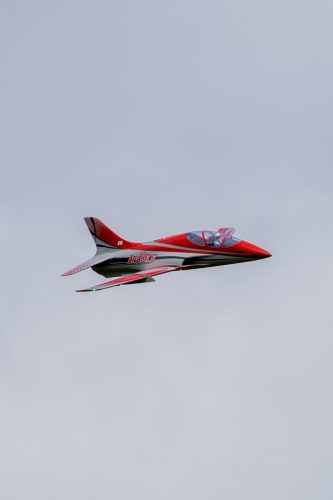 IMG 2612