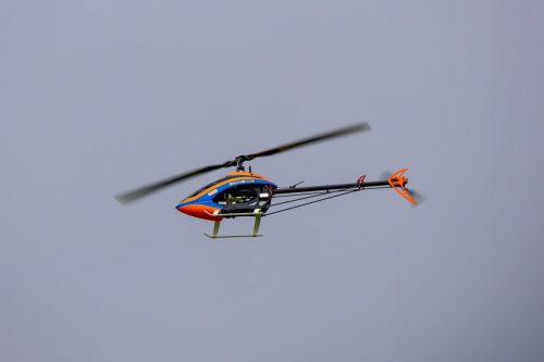 IMG 2953