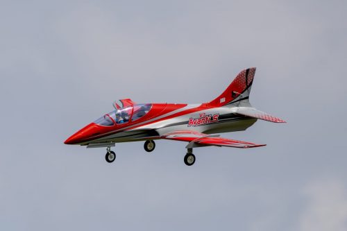 IMG 2987