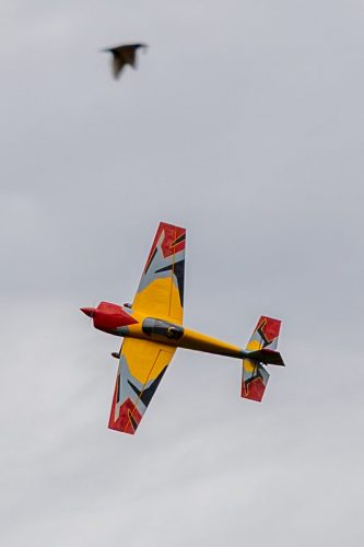 IMG 3037