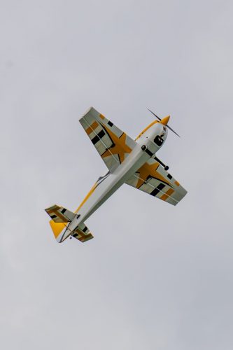 IMG 3079