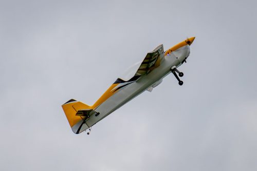 IMG 3082