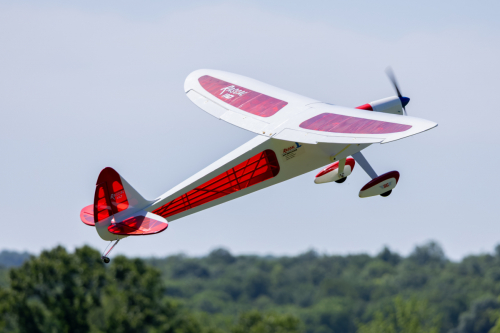 IMG 3455-Enhanced-NR (1)