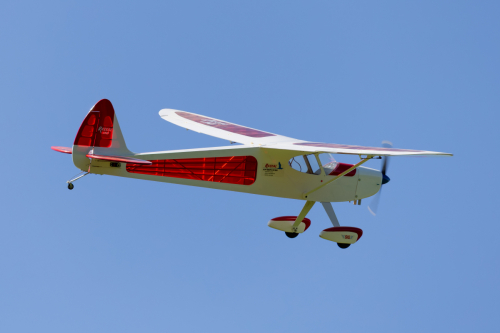 IMG 3515-Enhanced-NR (1)