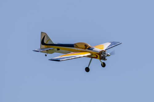 IMG 3673-Enhanced-NR