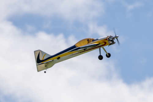 IMG 3685-Enhanced-NR