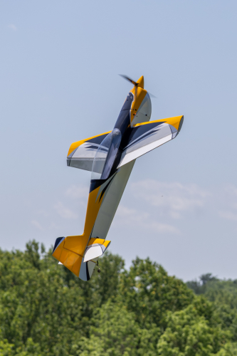 IMG 3730-Enhanced-NR