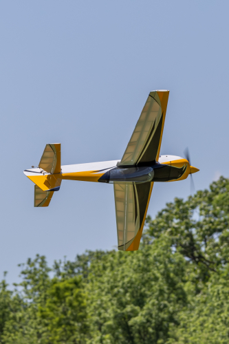 IMG 3744-Enhanced-NR (1)