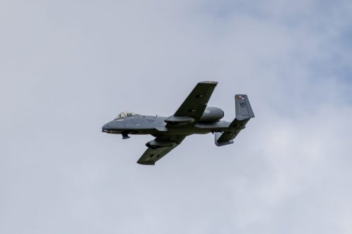 IMG 3769