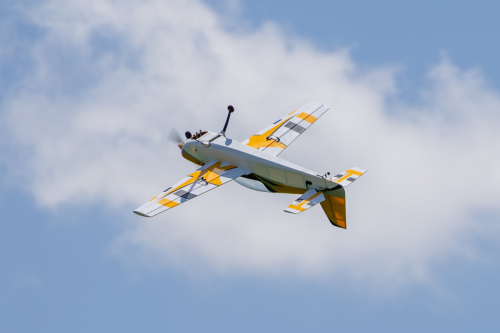 IMG 3774-Enhanced-NR (1)