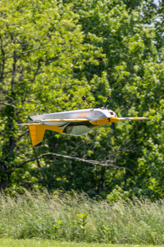 IMG 3802-Enhanced-NR (1)