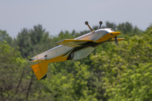 IMG 3804-Enhanced-NR (1)